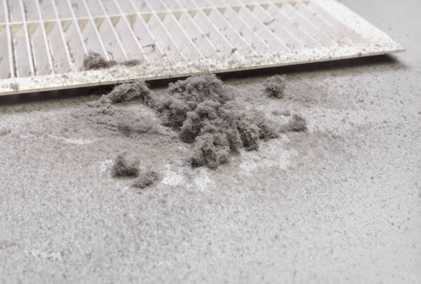 Best Dryer Vent Cleaning Services  in Richmond, IL
