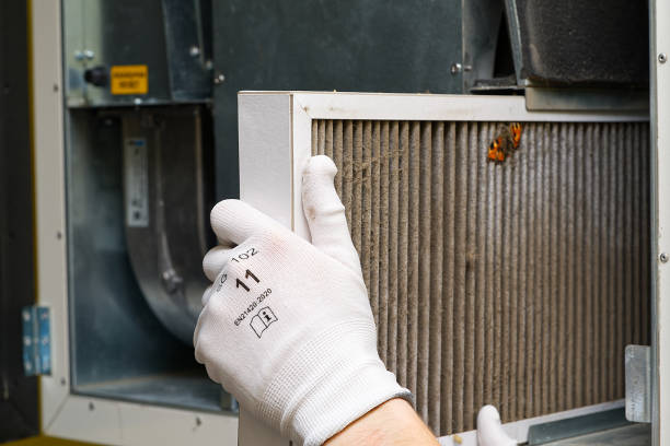 Best Local Air Duct Cleaning Services  in Richmond, IL