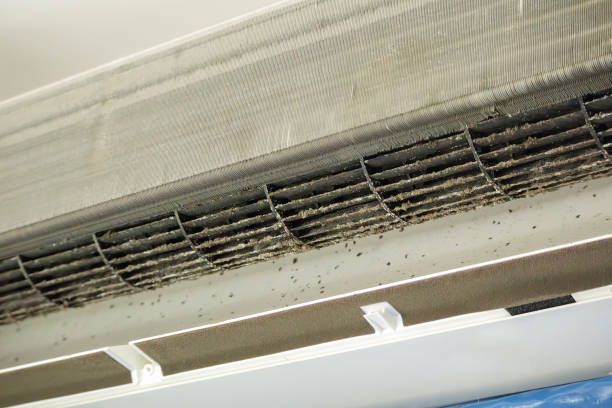 Best Commercial Air Duct Cleaning  in Richmond, IL
